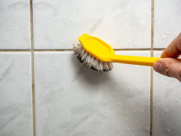 Mold Removal Process in East Berlin, PA